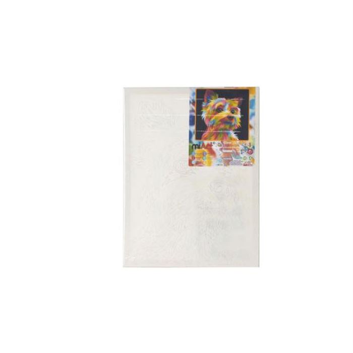 MİART DİK ÜÇGEN TUVAL 40 CM MLET15