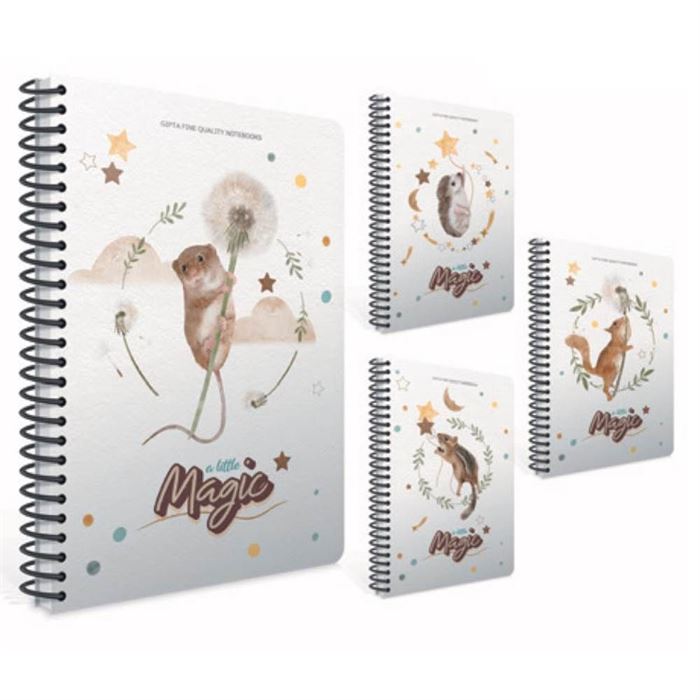 Gıpta Magic Spiralli Sert Kapak 17x24 120 Yaprak Çizgili Defter 6235