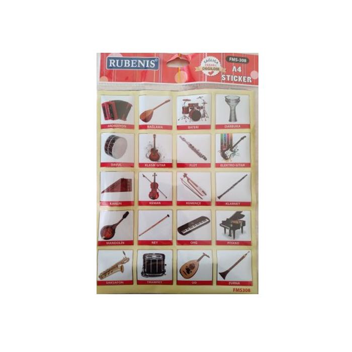 RUBENİS İÇ ORGANLAR RESİMLİ STİCKER