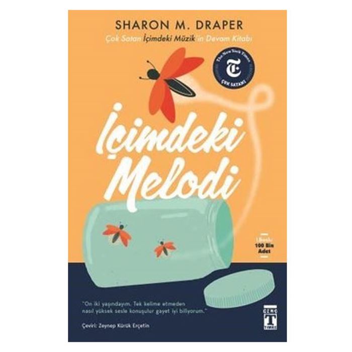 İÇİMDEKİ MELODİ