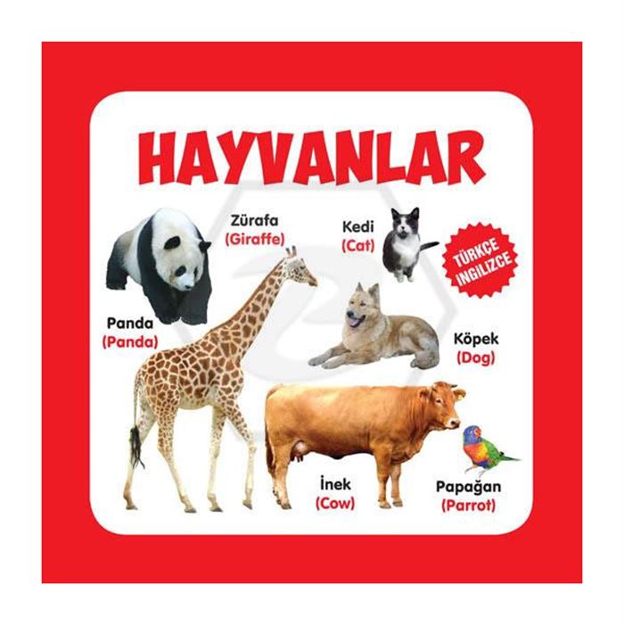 PARILTI RESİMLİ TÜRKÇE SÖZLÜK