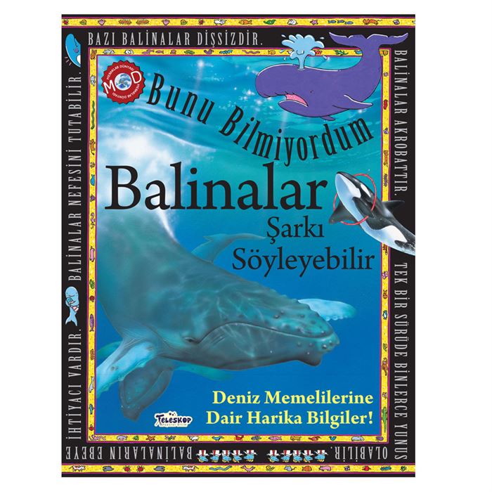 İLGİNÇ BİLGİLER SERİSİ - İLGİNÇ DÜNYAMIZ