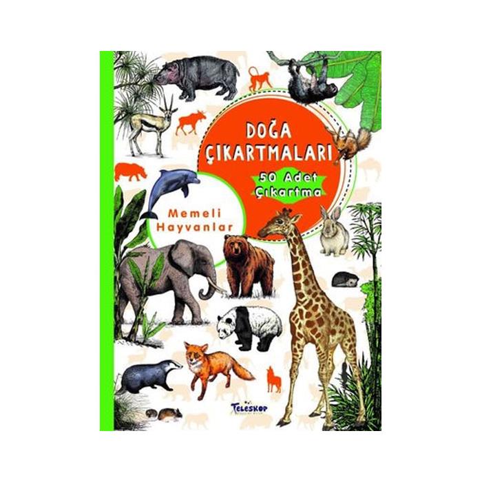 Bunları Tanıyorum! - Böcekler