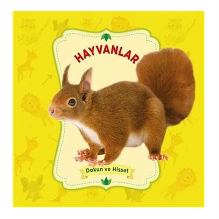 Hayvanlar – Dokun Ve Hisset