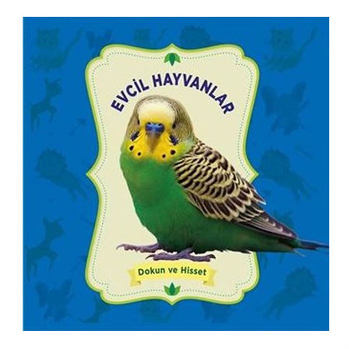 Evcil Hayvanlar – Dokun Ve Hisset