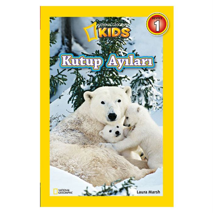 Ayı Pofuduk İle Gözlemlemeyi Öğrenelim