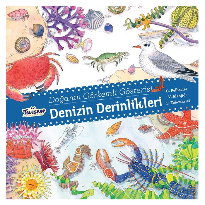 BİLİNÇLİ TOPLUM-NİHAL İNTERNETTE