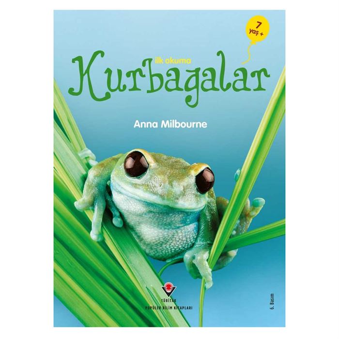 GÖKYÜZÜNDEKİ MOR BULUTLAR