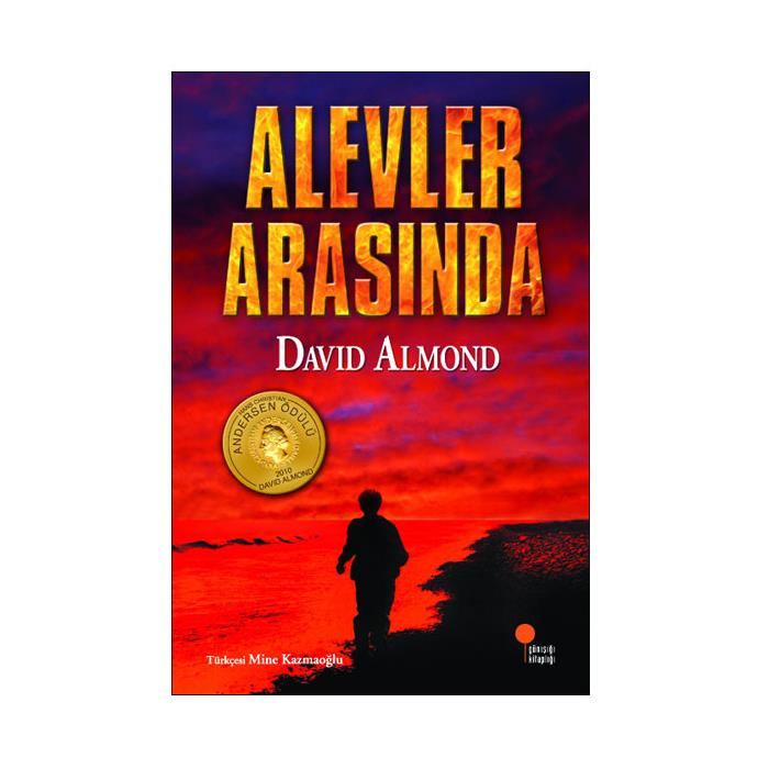 OKYANUS 11.SINIF 40 SEANSTA FİZİK