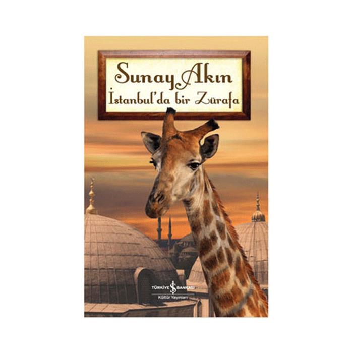 MÜFETTİŞ HASAN ALİ YÜCEL KLASİKLER